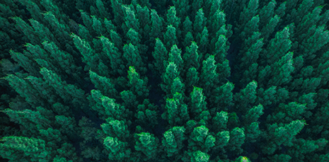 Large/Complex businesses