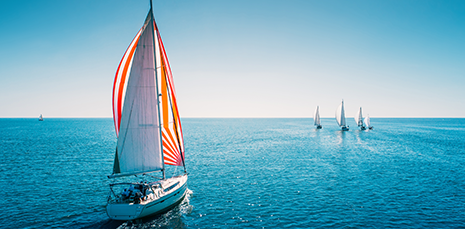 Goal #3: Maximize the Value of Retirement Plans